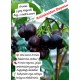 Aronia Berry Doku Kültürü 6 yaş Saksılı 1 metre