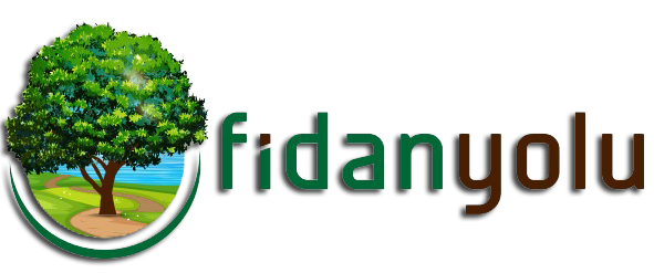 Fidan Yolu Süs Bitkileri